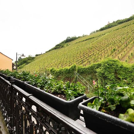 Alte Stadtvilla Am Weinberg 3 Traben-Trarbach Exterior foto